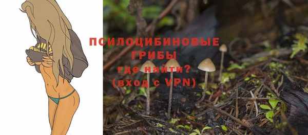 каннабис Инсар