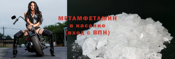 индика Зеленодольск