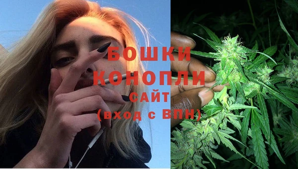 PSILOCYBIN Чердынь