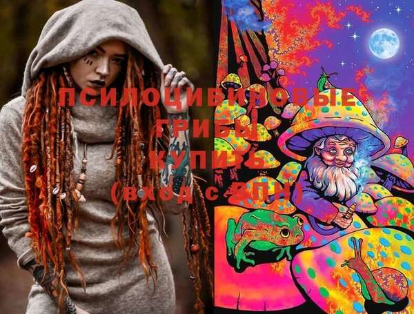 эйфоретик Инта