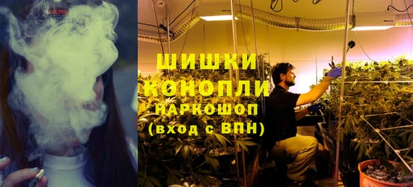 эйфоретик Инта
